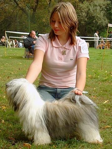 handling (77).jpg